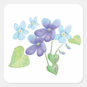 Adesivo Quadrado Ilustração de Flores Violetas Selvagens