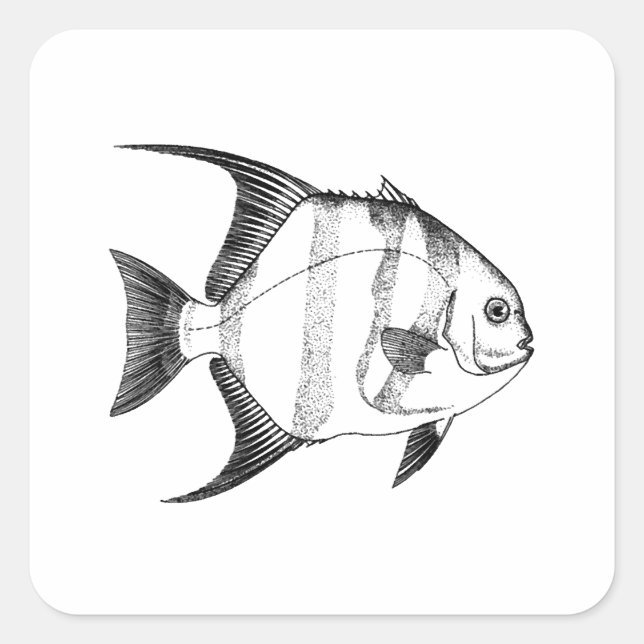 Adesivo Quadrado Ilustração de Spadefish (Frente)
