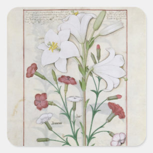 Adesivo Quadrado Ilustração 'do livro de simples