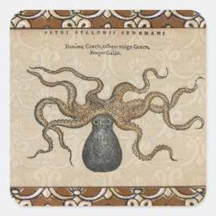Adesivo Quadrado Ilustração Octopus Vintage Kraken