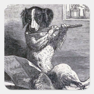 Adesivo Quadrado Ilustração Vintage "Cachorro Jogando a Flauta"