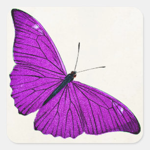 Adesivo Quadrado Ilustração Vintage Fuchsia Purple Butterfly 1800