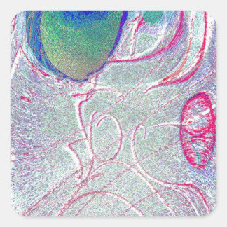 Adesivo Quadrado Imagem Praça da Cara Preguiçosa