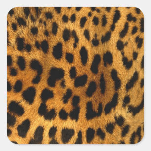 Adesivo Quadrado Impressão de peles de leopardo