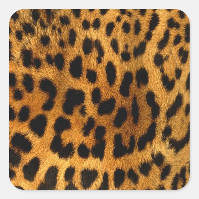 Adesivo Quadrado Impressão de peles de leopardo (Frente)