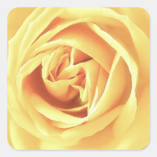 Adesivo Quadrado Impressão do rosa amarelo