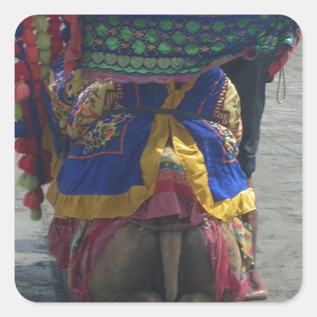 Adesivo Quadrado Impressão/Gráfico Whimsical Camel Art (Frente)