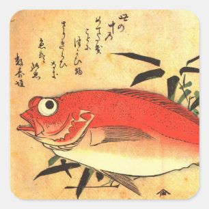 Adesivo Quadrado Impressão japonês colorido dos peixes de Akodai 