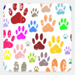 Adesivo Quadrado Impressões coloridas de pata de cachorro