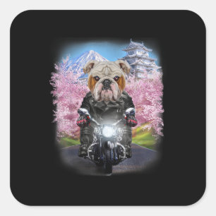 Adesivo Quadrado Inglês Buldogue Sobre O Passeio De Motocicleta No