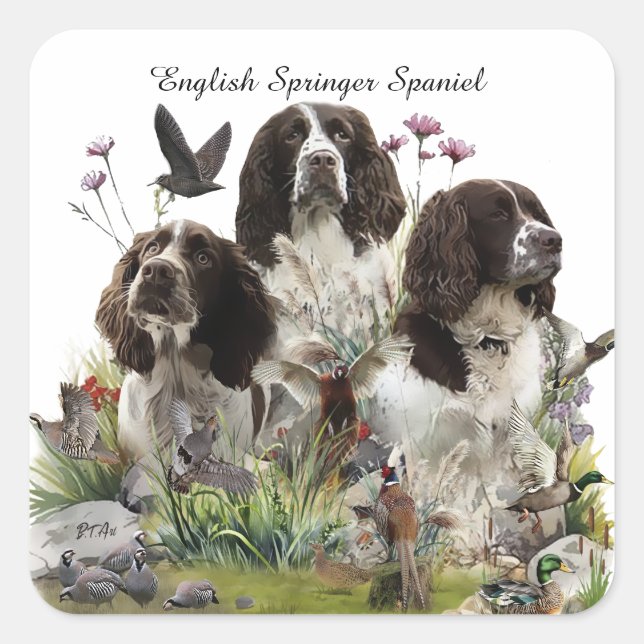 Adesivo Quadrado Inglês Springer Spaniels, Arte (Frente)