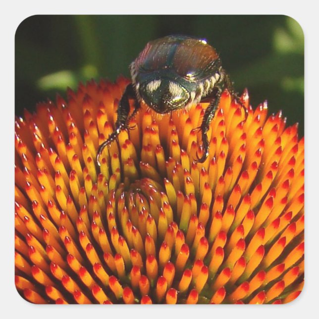 Adesivo Quadrado Inseto na ventoinha (Frente)