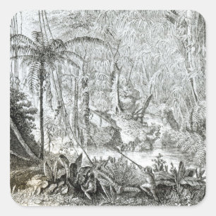 Adesivo Quadrado Interior de uma floresta primitiva nos Amazons