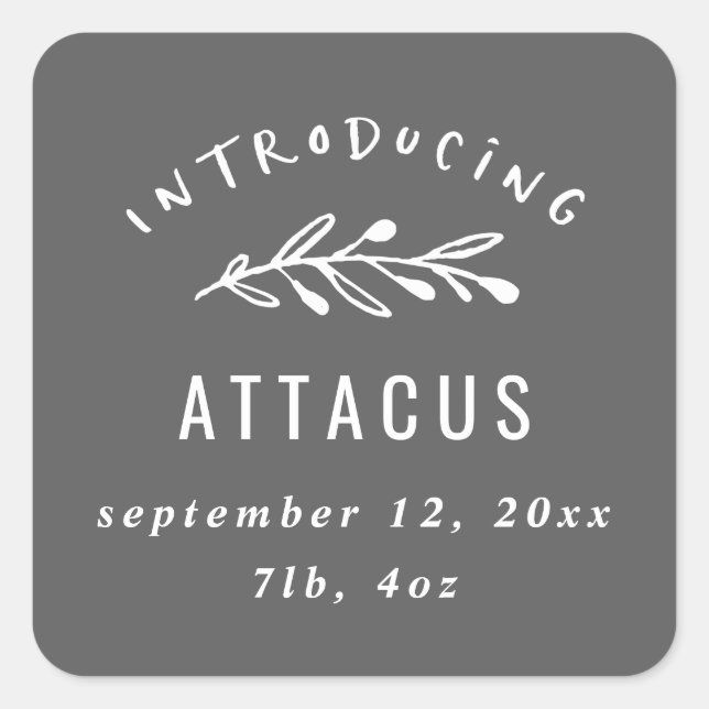 Adesivo Quadrado Introduzindo o anúncio do nascimento do ramo (Frente)