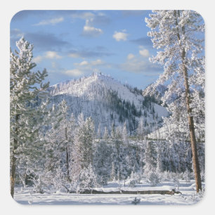 Adesivo Quadrado Inverno no Parque Nacional de Yellowstone, Wyoming
