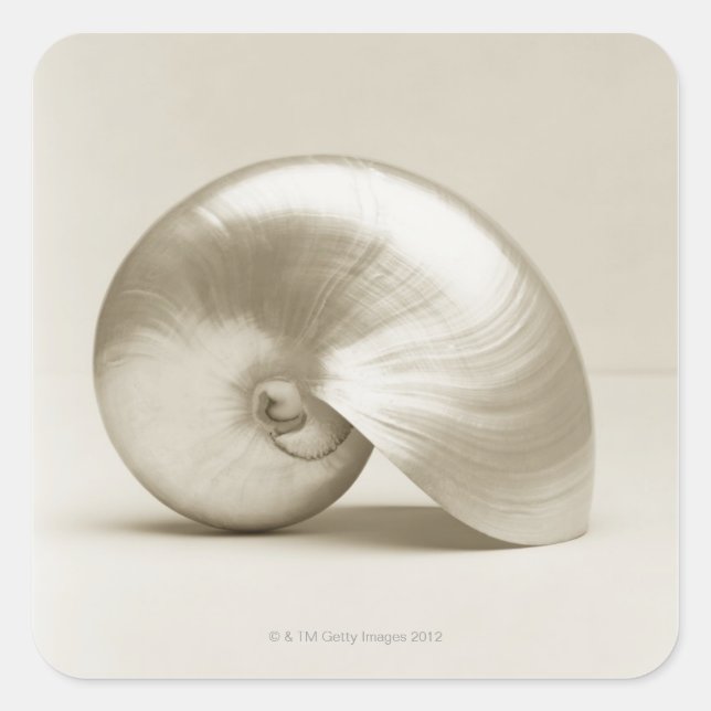 Adesivo Quadrado Invólucro do mar de náuseas (Frente)