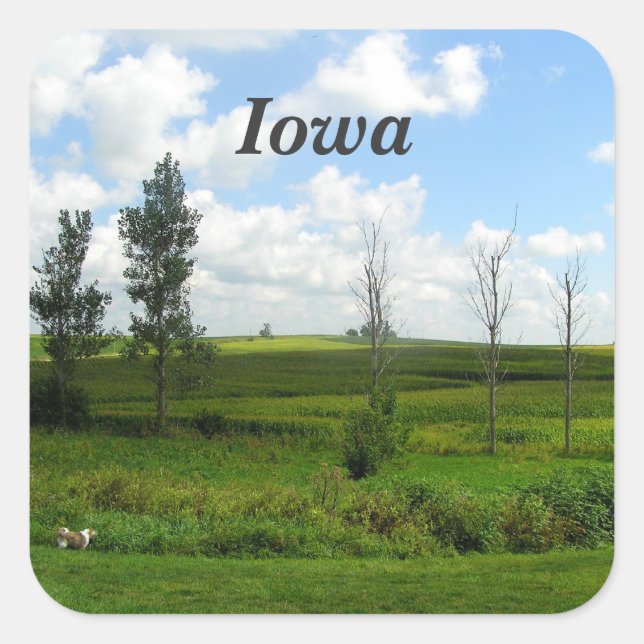 Adesivo Quadrado Iowa (Frente)