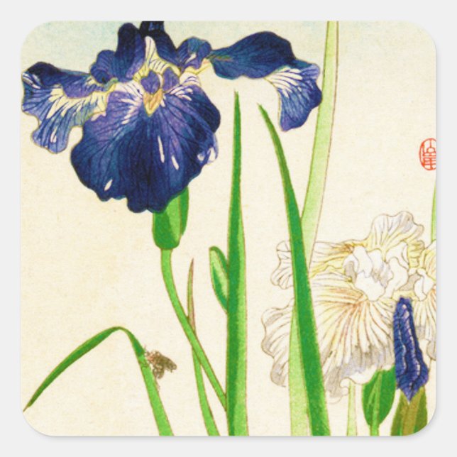 Adesivo Quadrado Íris azul - impressão de aquarela japonesa (Frente)