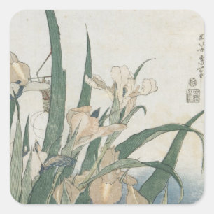 Adesivo Quadrado Iris Flowers and Grafopper, c.1830-31
