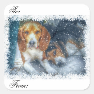 Adesivo Quadrado Irmãos de Natal