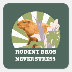 Adesivo Quadrado Irmãos Roedores Nunca Estrese Capivara