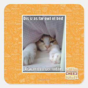 Adesivo Quadrado Iz do Dis como distante o owt da cama.