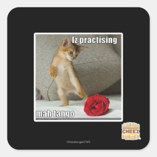 Adesivo Quadrado Iz praticando mah tango