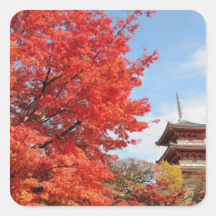 Adesivo Quadrado Japão, Quioto. Templo Kiyomizu em cores de outono
