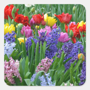 Adesivo Quadrado Jardim de flores coloridas da primavera