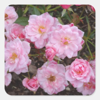 Adesivo Quadrado Jeanne LaJoie Rosa nº 1-2 Stickers