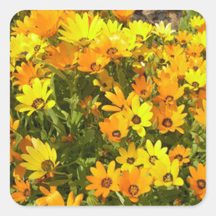 Adesivo Quadrado Joie de Vivre (1)