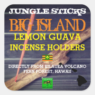 ADESIVO QUADRADO JUNGLE STICKS LEMON GUAVA TITULARES DE INCENTIVOS