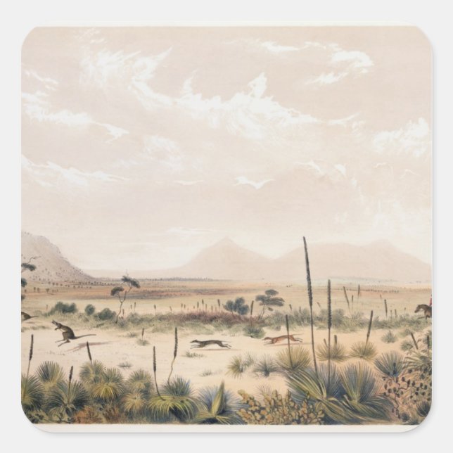 Adesivo Quadrado Kangaroo Hunt (Frente)