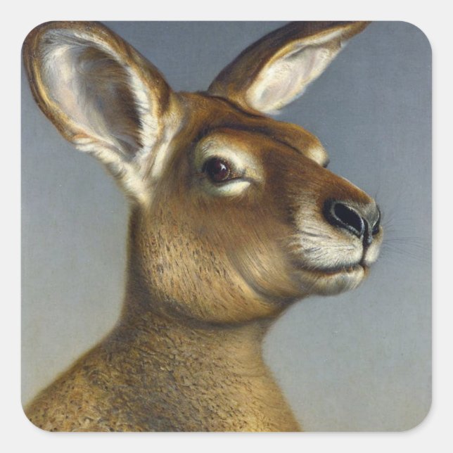 Adesivo Quadrado Kangaroo Square Sticker (Frente)