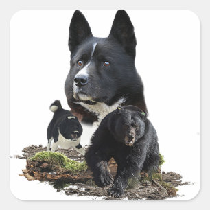 Adesivo Quadrado Karelian Bear Dog Sticker