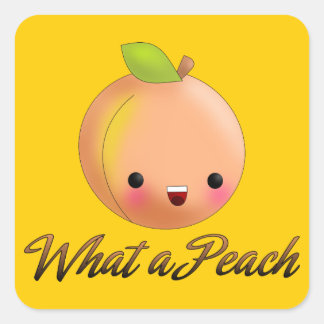 Adesivo Quadrado Kawaii Peach Sticker