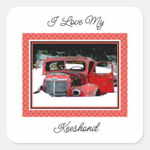Adesivo Quadrado Keeshond Christmas Old Truck Painting Art
