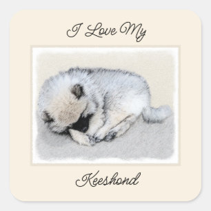 Adesivo Quadrado Keeshond Dormindo Puppy Pintura Original