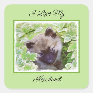 Adesivo Quadrado Keeshond Puppy na Pintura Original