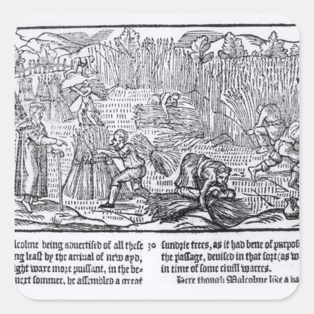 Adesivo Quadrado King Malcolm da Escócia (Frente)