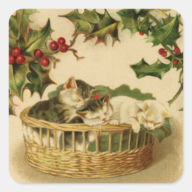 Adesivo Quadrado Kittens Natal e Holly Sticker (Frente)