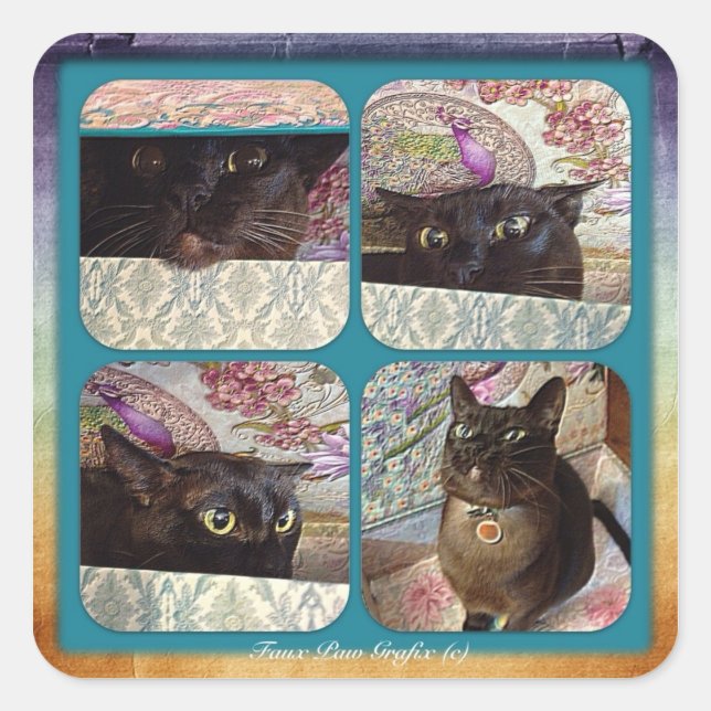 Adesivo Quadrado Kiwi em uma caixa, série 1, quatro imagens (Frente)