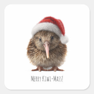 Adesivo Quadrado Kiwi Pássaro de Natal Fofo Personalizado com Chapé