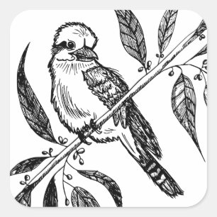 Adesivo Quadrado Kookaburra Preto e Branco no Desenho de Ramificaçã
