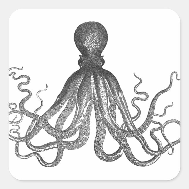 Adesivo Quadrado Kraken - Octopus Gigante Negro / Cthulu (Frente)