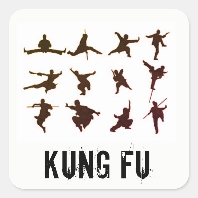 ADESIVO QUADRADO KUNG FU STICKER (Frente)