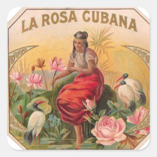 Adesivo Quadrado La Rosa Cubana Diseño Vintage Cuba