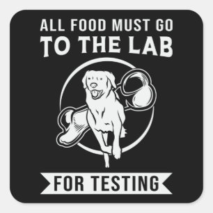 Adesivo Quadrado Labrador O Laboratório De Testes De Cão De Retriev