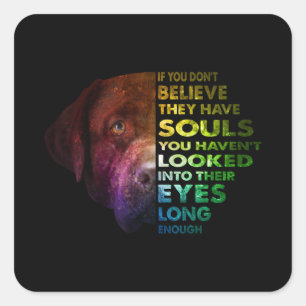 Adesivo Quadrado Labrador Retriever Olhou Para O Sobreloso Do Cacho