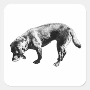 Adesivo Quadrado Labrador Retriever Sniffing Ink Art Sticker